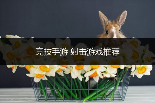 竞技手游 射击游戏推荐
