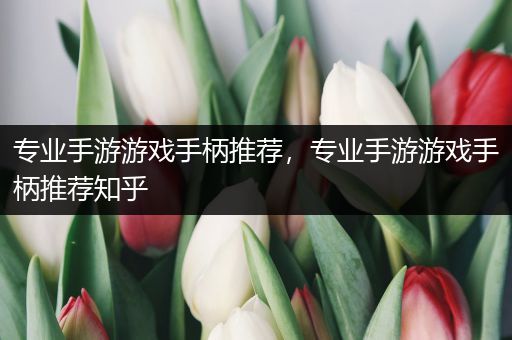 专业手游游戏手柄推荐，专业手游游戏手柄推荐知乎