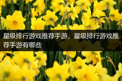 星级排行游戏推荐手游，星级排行游戏推荐手游有哪些