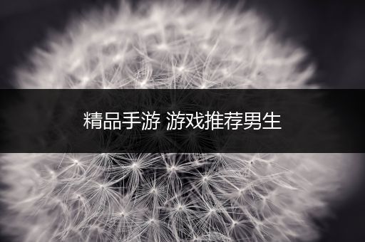 精品手游 游戏推荐男生