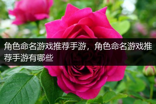 角色命名游戏推荐手游，角色命名游戏推荐手游有哪些