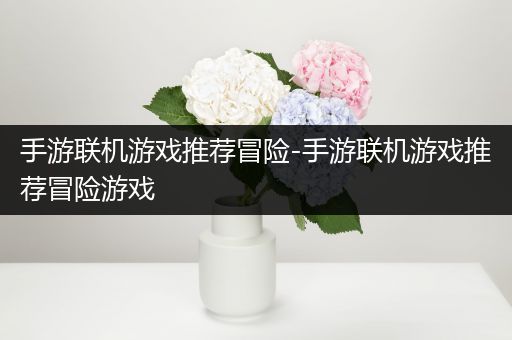 手游联机游戏推荐冒险-手游联机游戏推荐冒险游戏
