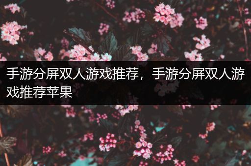 手游分屏双人游戏推荐，手游分屏双人游戏推荐苹果