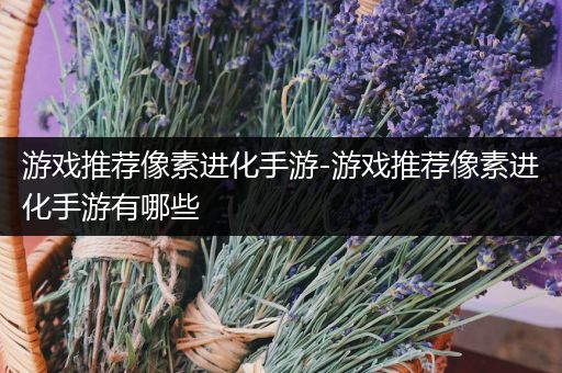 游戏推荐像素进化手游-游戏推荐像素进化手游有哪些