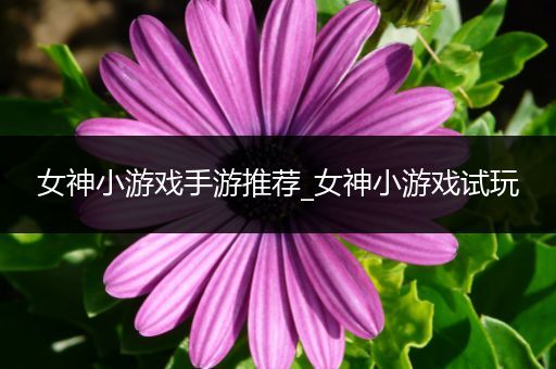 女神小游戏手游推荐_女神小游戏试玩