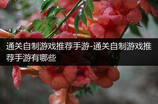 通关自制游戏推荐手游-通关自制游戏推荐手游有哪些