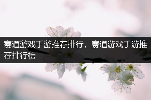 赛道游戏手游推荐排行，赛道游戏手游推荐排行榜