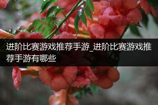 进阶比赛游戏推荐手游_进阶比赛游戏推荐手游有哪些