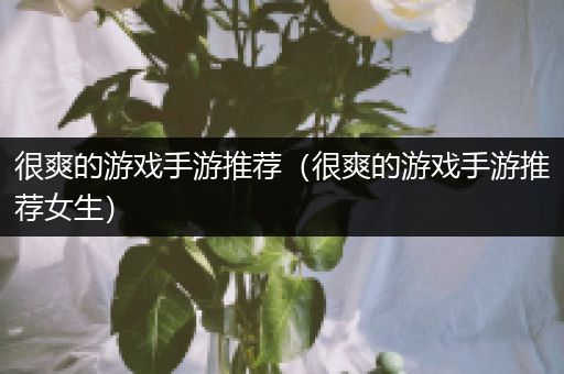 很爽的游戏手游推荐（很爽的游戏手游推荐女生）