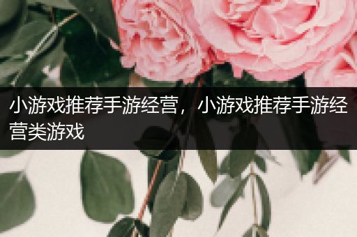小游戏推荐手游经营，小游戏推荐手游经营类游戏