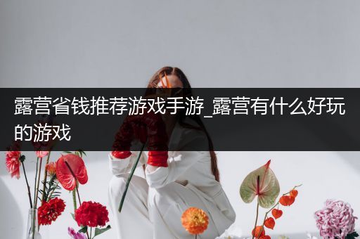 露营省钱推荐游戏手游_露营有什么好玩的游戏