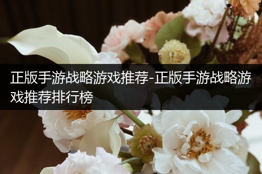 正版手游战略游戏推荐-正版手游战略游戏推荐排行榜