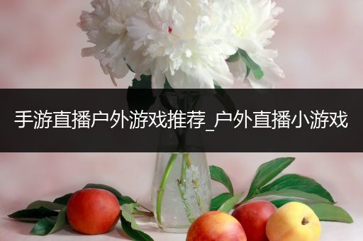 手游直播户外游戏推荐_户外直播小游戏