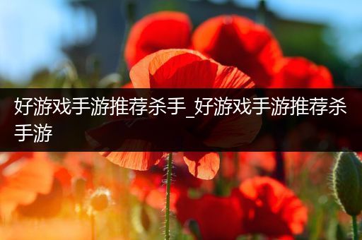 好游戏手游推荐杀手_好游戏手游推荐杀手游