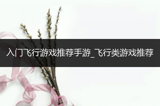入门飞行游戏推荐手游_飞行类游戏推荐