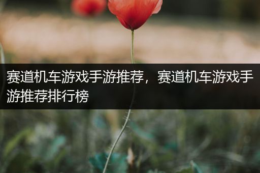 赛道机车游戏手游推荐，赛道机车游戏手游推荐排行榜