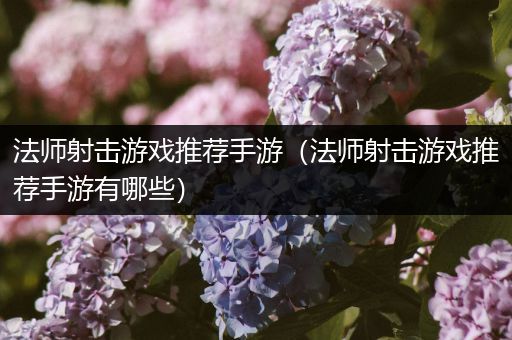 法师射击游戏推荐手游（法师射击游戏推荐手游有哪些）