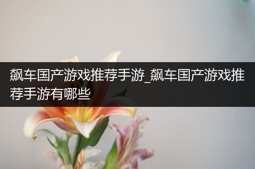 飙车国产游戏推荐手游_飙车国产游戏推荐手游有哪些