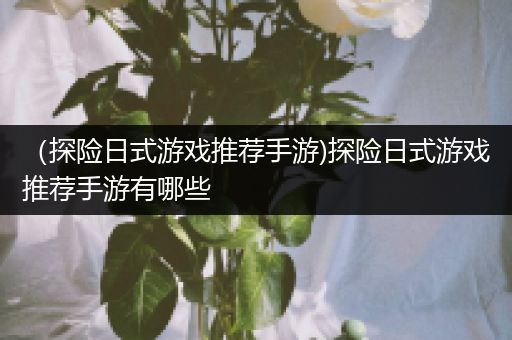 （探险日式游戏推荐手游)探险日式游戏推荐手游有哪些