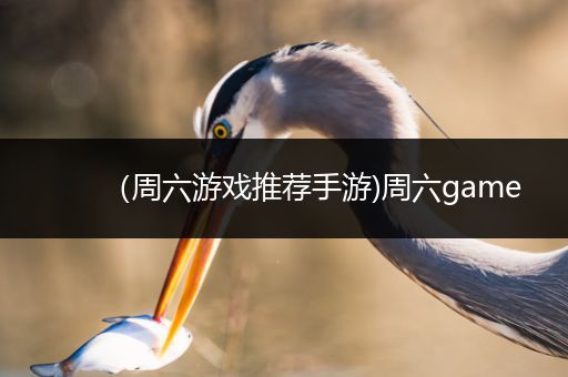 （周六游戏推荐手游)周六game