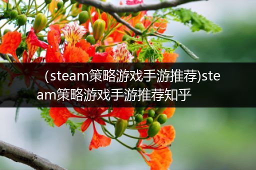 （steam策略游戏手游推荐)steam策略游戏手游推荐知乎