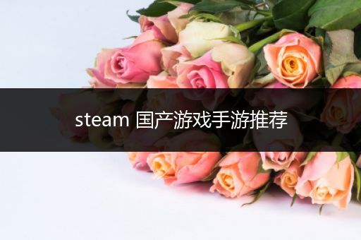 steam 国产游戏手游推荐