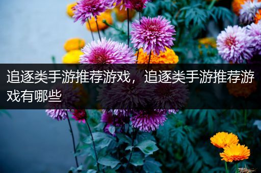 追逐类手游推荐游戏，追逐类手游推荐游戏有哪些