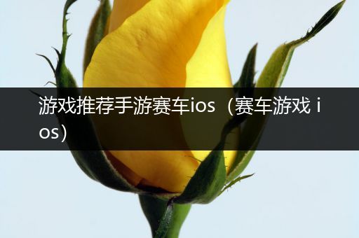 游戏推荐手游赛车ios（赛车游戏 ios）