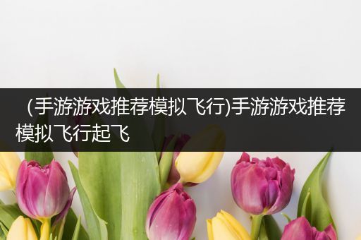 （手游游戏推荐模拟飞行)手游游戏推荐模拟飞行起飞