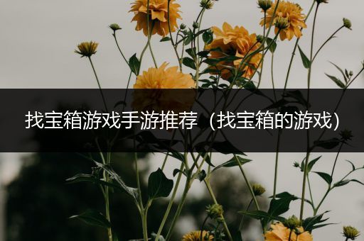 找宝箱游戏手游推荐（找宝箱的游戏）