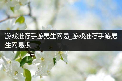 游戏推荐手游男生网易_游戏推荐手游男生网易版