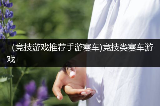 （竞技游戏推荐手游赛车)竞技类赛车游戏