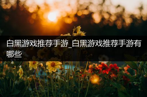 白黑游戏推荐手游_白黑游戏推荐手游有哪些