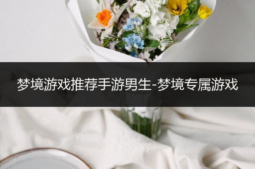 梦境游戏推荐手游男生-梦境专属游戏