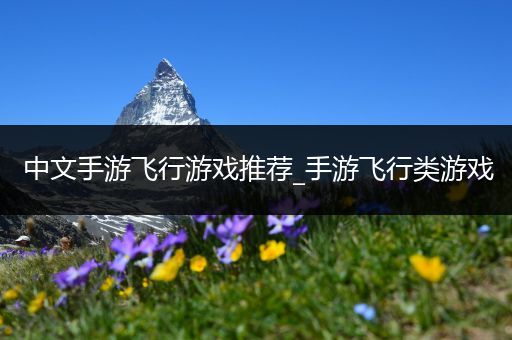中文手游飞行游戏推荐_手游飞行类游戏