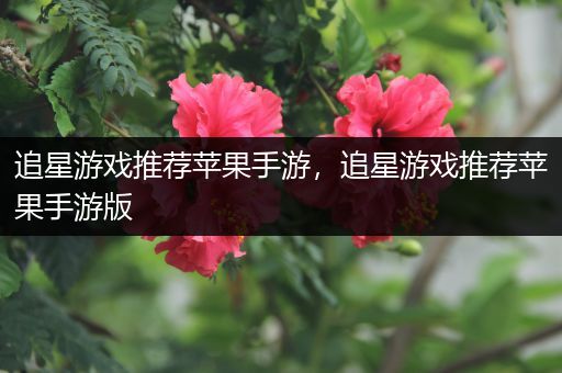 追星游戏推荐苹果手游，追星游戏推荐苹果手游版
