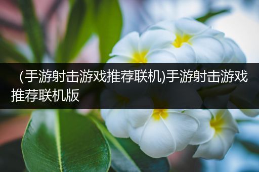 （手游射击游戏推荐联机)手游射击游戏推荐联机版