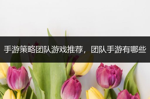 手游策略团队游戏推荐，团队手游有哪些