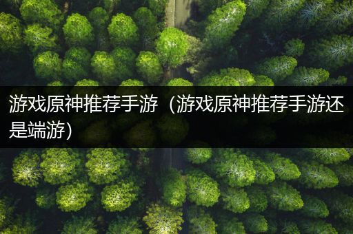 游戏原神推荐手游（游戏原神推荐手游还是端游）