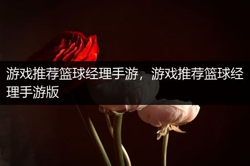 游戏推荐篮球经理手游，游戏推荐篮球经理手游版