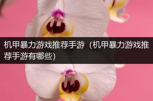 机甲暴力游戏推荐手游（机甲暴力游戏推荐手游有哪些）