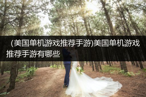 （美国单机游戏推荐手游)美国单机游戏推荐手游有哪些