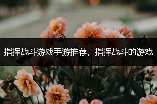 指挥战斗游戏手游推荐，指挥战斗的游戏