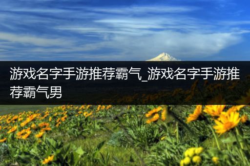 游戏名字手游推荐霸气_游戏名字手游推荐霸气男