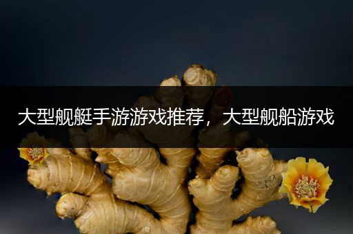 大型舰艇手游游戏推荐，大型舰船游戏