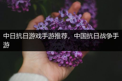 中日抗日游戏手游推荐，中国抗日战争手游