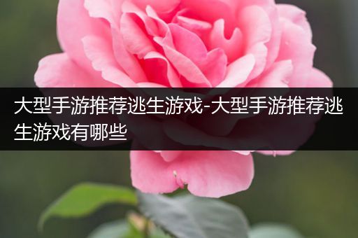 大型手游推荐逃生游戏-大型手游推荐逃生游戏有哪些