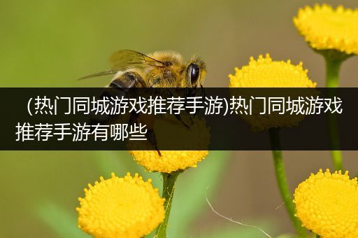 （热门同城游戏推荐手游)热门同城游戏推荐手游有哪些