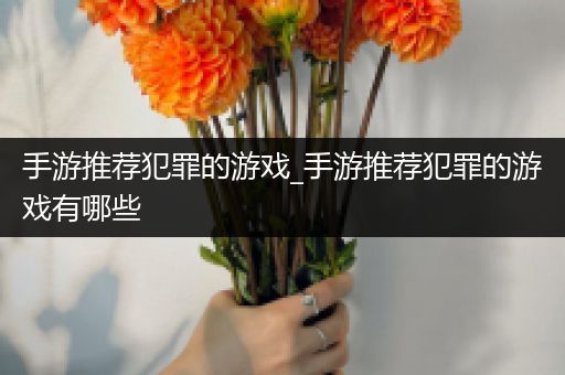 手游推荐犯罪的游戏_手游推荐犯罪的游戏有哪些