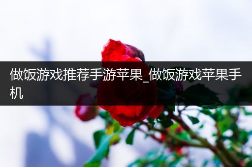 做饭游戏推荐手游苹果_做饭游戏苹果手机